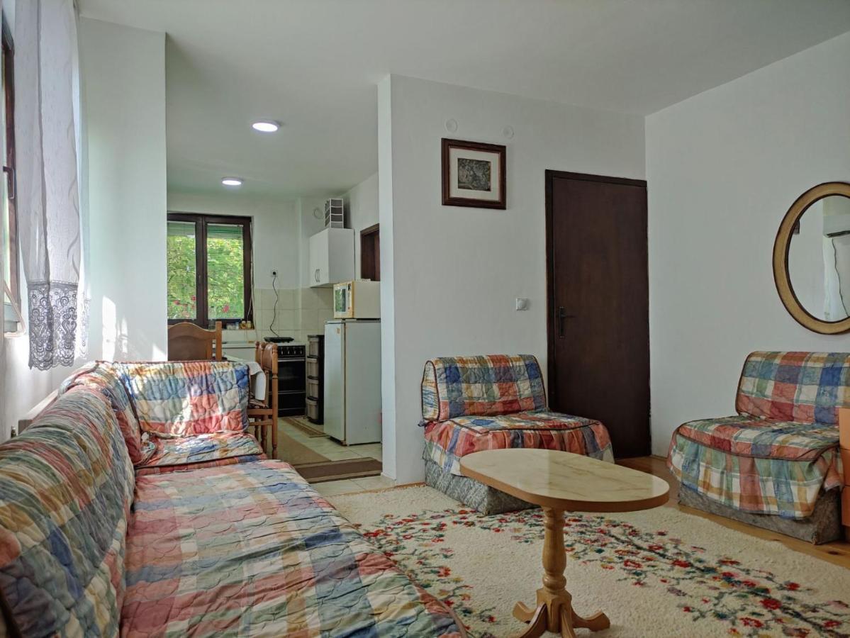 Вілла Cozy House Cvetkovic Ниш Екстер'єр фото