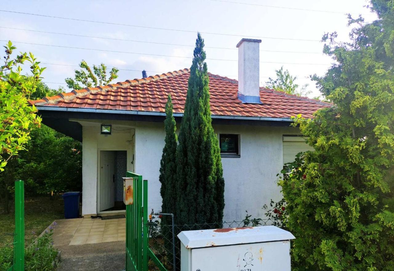 Вілла Cozy House Cvetkovic Ниш Екстер'єр фото