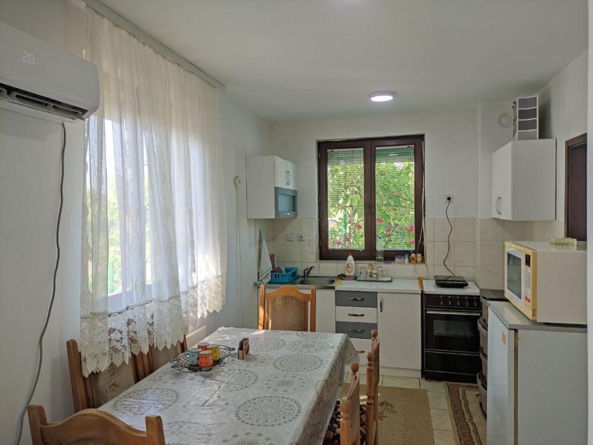 Вілла Cozy House Cvetkovic Ниш Екстер'єр фото